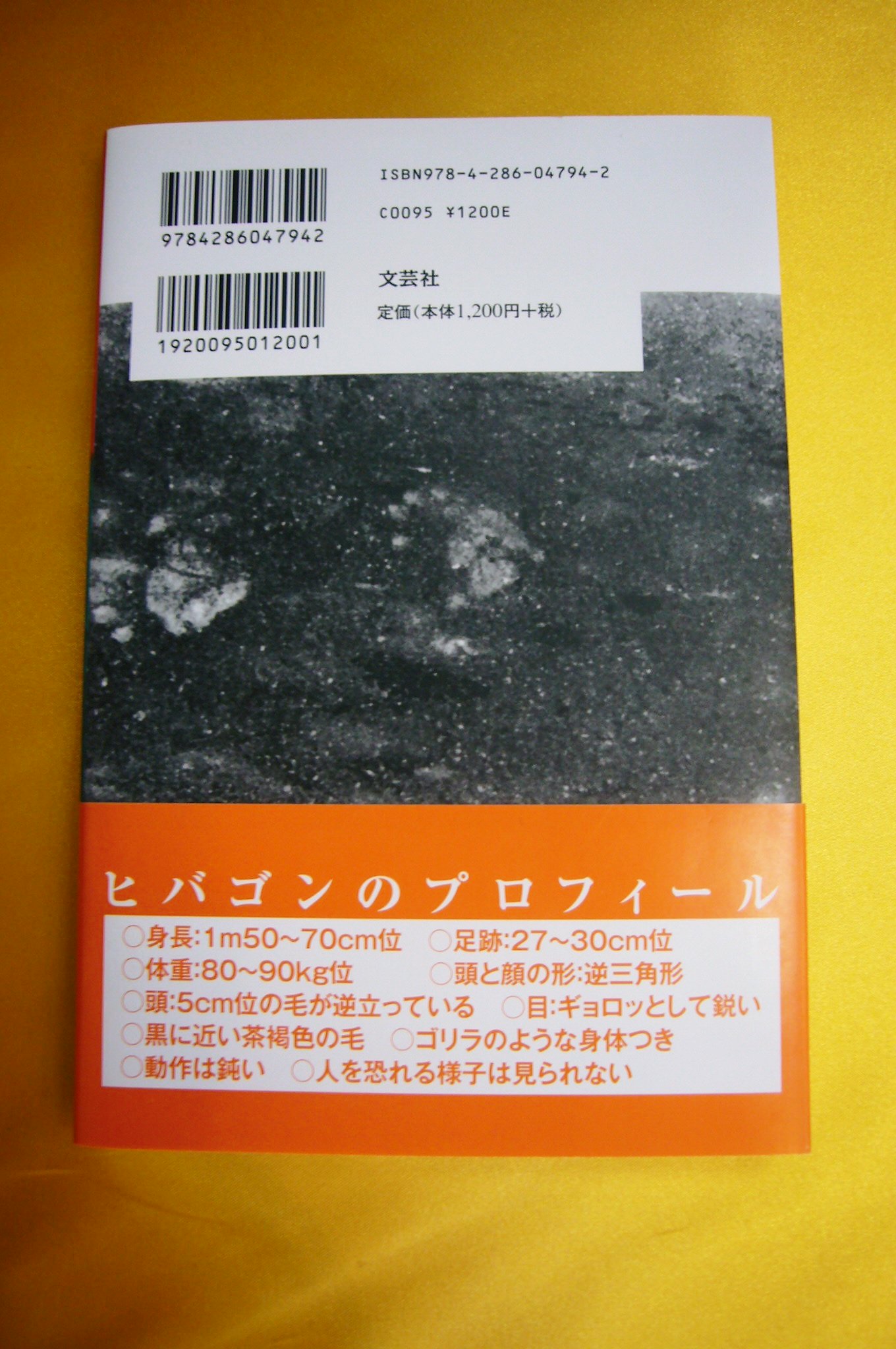 パネル 私が愛したヒバゴンよ永遠に : 謎の怪物騒動から40年 - その他